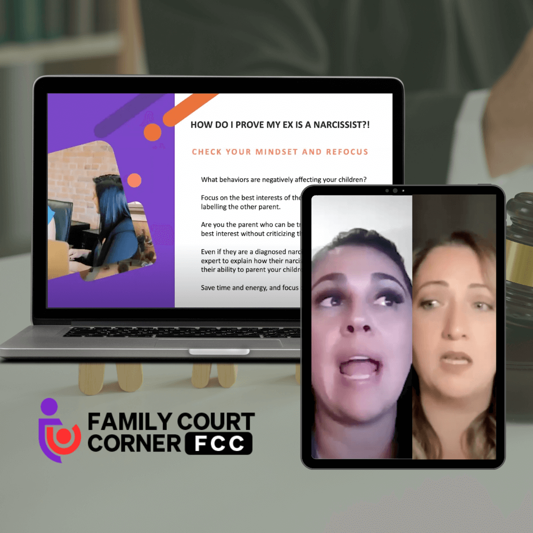 Mastering Family Court Documentation Workshop